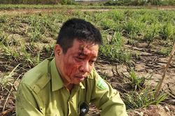 Kiểm lâm vườn quốc gia Yok Đôn liên tiếp bị lâm tặc tấn công