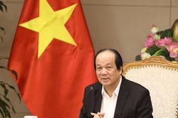 Tại sao khi nâng mức phạt nồng độ cồn, tỷ lệ đổi giấy phép lái xe tăng cao?