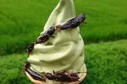 Kem châu chấu và những vị kem chỉ có ở Nhật Bản