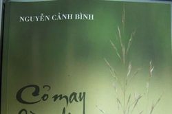 Tấm lòng của người con xa quê