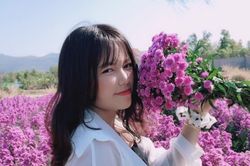 Cánh đồng thạch thảo tím ở Bà Rịa thu hút giới trẻ