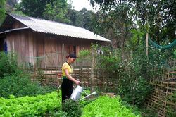Phong trào thi đua gắn với đời sống hội viên phụ nữ