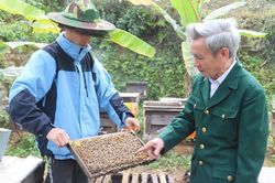 Công ty TNHH phát triển Ong miền núi Thanh Xuân bán hơn 30 tấn mật/năm