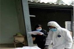 Nghệ An: Dịch cúm gia cầm A/H5N6 diễn biến phức tạp