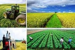PHÁT TRIỂN KINH TẾ XANH