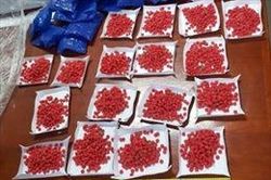 Triệt phá vụ vận chuyển 6.800 viên ma túy tổng hợp