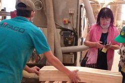 Ngành gỗ chịu tác động lớn từ... COVID-19