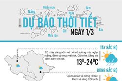 Dự báo thời tiết ngày 1/3/2020: Trời vào hè rồi ư?