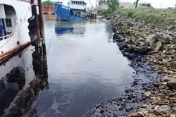 Truy tìm nguyên nhân vết dầu loang trên sông Lam