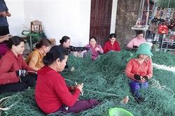 Phát huy truyền thống phụ nữ 'Ba đảm đang'
