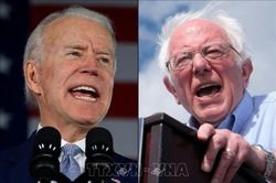 Ứng cử viên Joe Biden dẫn trước với cách biệt lớn tại Michigan
