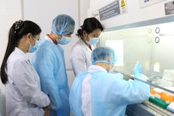 Dịch COVID-19: Tiếp tục nhiều ca nghi nhiễm cho kết quả âm tính