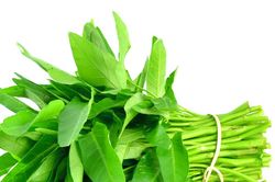 Mắc những bệnh này cấm kỵ ăn rau muống vì cực kỳ độc