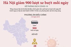 Hà Nội giảm 900 lượt xe buýt mỗi ngày để phòng COVID-19