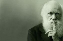 Darwin đã đúng?
