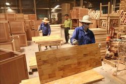 Kiến nghị doanh nghiệp chế biến lâm sản được gia hạn nộp thuế và tiền thuê đất
