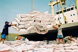 Xuất khẩu nông lâm thủy sản trong 3 tháng đạt hơn 9 tỷ USD, xuất siêu 2,9 tỷ USD