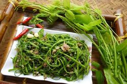 Những món ngon hấp dẫn từ loài rau rừng tên lạ - rau bò khai