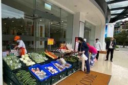 Mở thêm các điểm bán hàng tạm thời, dã chiến trên toàn quốc