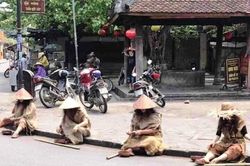 Cải trang ăn xin câu view trên Facebook, xử lý thế nào?