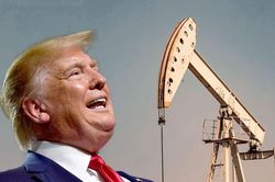 Tổng thống Mỹ Donald Trump: 'Tôi đã có cách nếu OPEC+ không đạt được thỏa thuận'