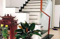 Nên đặt cây gì cạnh bàn thờ Thần tài để hút tài lộc?