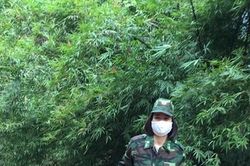 'Bóng hồng' trực chốt biên cương