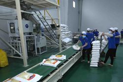 Doanh nghiệp phản ánh về những khó khăn khi xuất khẩu gạo