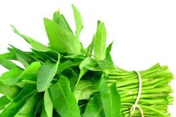 5 đại kỵ khi ăn rau muống gây ngộ độc, hại thận