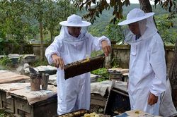 Những nông dân thời đại 4.0
