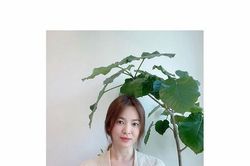 Gần 40 tuổi, Song Hye Kyo - Han Ji Min vẫn 'ăn đứt' nhan sắc Yoona và Suzy: Tham gia thử thách #ThankstoYouChallenge