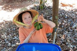 Nguyên nhân khiến Lý Nhã Kỳ bỏ danh kiều nữ làm nông dân