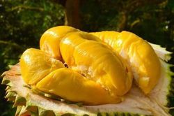 Những 'đại kỵ' khi ăn sầu riêng không phải ai cũng biết
