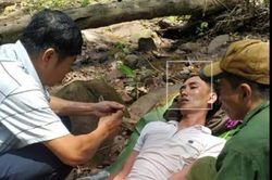 Quảng Bình: Cứu sống người thợ ong bị ong đốt nguy kịch