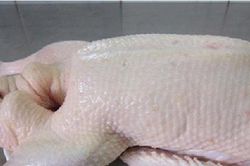 Mẹo nhổ lông vịt không còn lông măng
