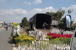 Phát triển nghề trồng hoa kiểng ở Sa Đéc