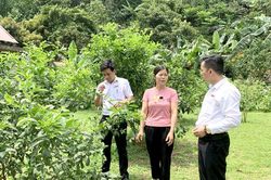 Bảo an tín dụng giúp khách hàng giảm gánh nặng tài chính