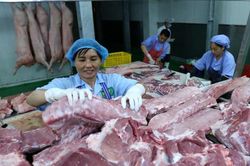 Tháng 6, giá thịt lợn vẫn ở mức cao