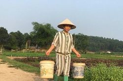 Khát vọng ngày trở về