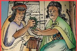 Giải mã loại lá cây được quý hơn vàng của đế chế Inca