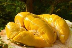 Những thực phẩm tuyệt đối không ăn cùng sầu riêng