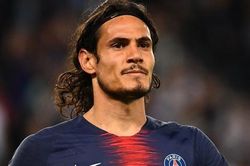 Cavani cạo lông cừu ở nông trại