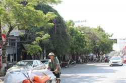 Người Hải Phòng đội nắng mưu sinh giữa trời nắng như đổ lửa