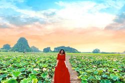 Đầm sen khoe sắc ở Hang Múa, giới trẻ nô nức đến 'check-in'