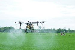 Độc đáo phun thuốc trừ sâu bằng thiết bị bay không người lái