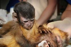 Những hình ảnh xúc động làm 'tan chảy trái tim' của tất cả chúng ta