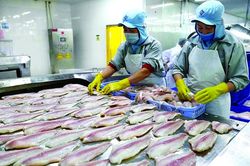'Hấp thụ' hiệu quả cơ hội từ EVFTA