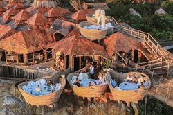 Resort trên cây view hướng biển không dành cho du khách dưới 18 tuổi