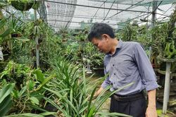 Điển hình khai thác kinh tế từ nơi chôn rác thải ở Thạch Thất