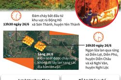 Đám cháy rừng ở Nghệ An đã được kiểm soát